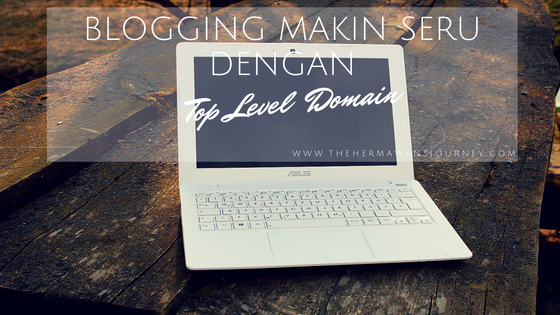 dotcom, dotnet, top level domain, dotcomforme, cara membuat top level domain, cara mendaftar top level domain, ngeblog, keuntungan top level domain